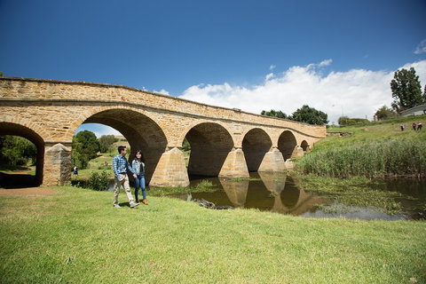Bonorong Wildlife Park And Richmond Afternoon Tour From Hobart - Accommodation Tasmania 2