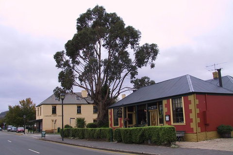 Bonorong Wildlife Park And Richmond Afternoon Tour From Hobart - Accommodation Tasmania 3