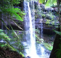 Mt Field National Park and Russell Falls from Hobart - Accommodation Tasmania