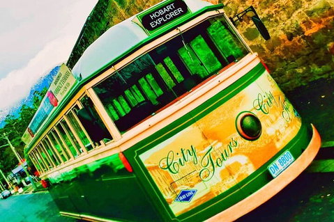 Hobart Half-Day Sightseeing Coach Tram Tour - Accommodation Tasmania 5