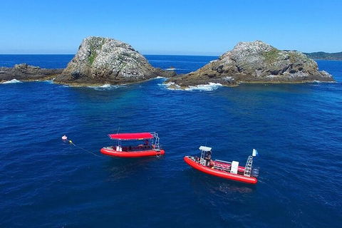 3-Hour Byron Bay Certified Scuba Diving Tour - Accommodation Tasmania 0