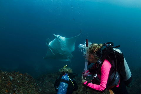 3-Hour Byron Bay Certified Scuba Diving Tour - Accommodation Tasmania 2