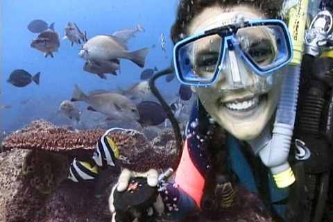3-Hour Byron Bay Certified Scuba Diving Tour - Accommodation Tasmania 5