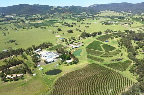 Helicopter Tour Of Hunter Valley In New South Wales With Lunch - Accommodation Tasmania 4