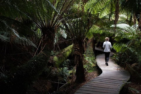 Private Tour Of Melbourne - Accommodation Tasmania 2