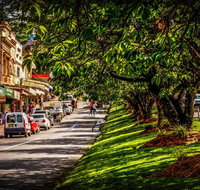 Fully Inclusive Blue Mountains Private Tour inc Scenic World  Featherdale entry - Accommodation Tasmania