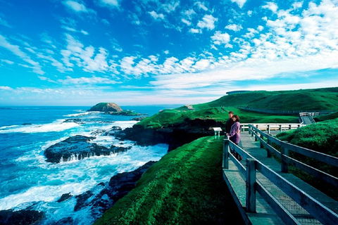 Puffing Billy, Moonlit Sanctuary & Penguins Day Tour - Accommodation Tasmania 2