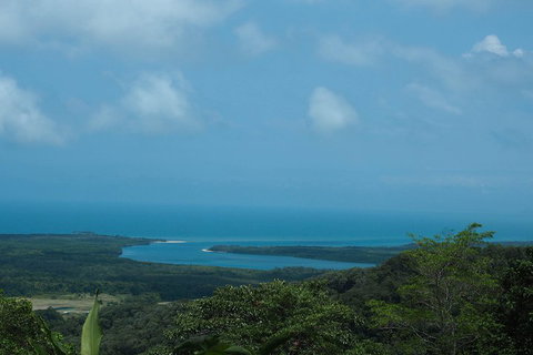 Cape Tribulation, Daintree Rainforest And Wildlife Tour - Accommodation Tasmania 1