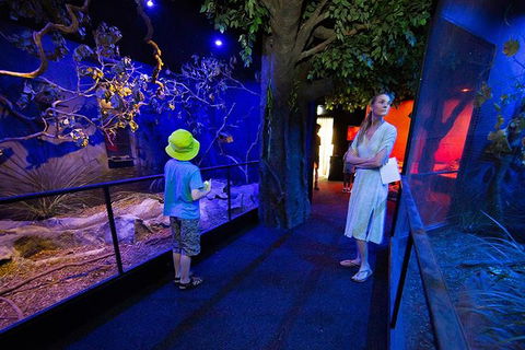 Wildlife Habitat Port Douglas - Accommodation Tasmania 4