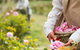 3 Days Adelaide Hills Wellness Escape - thumb 3