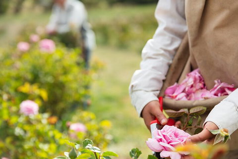 3 Days Adelaide Hills Wellness Escape - Accommodation Tasmania 3
