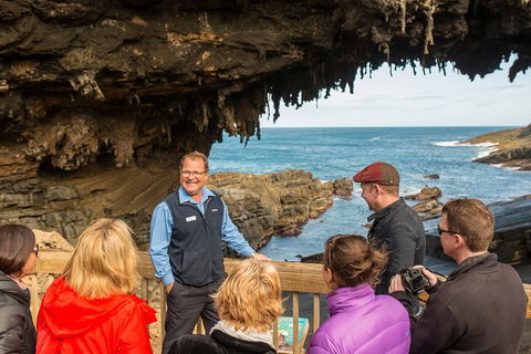 Kangaroo Island In A Day Tour From Adelaide - Accommodation Tasmania 3