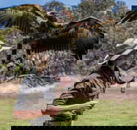 One Day Kangaroo Island Sip  See tour with return ferry transfers from Adelaide - Accommodation Tasmania