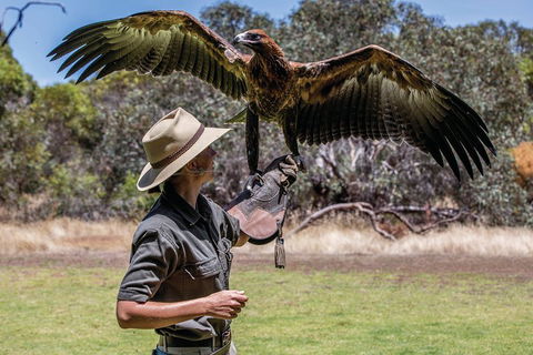 One Day Kangaroo Island Sip & See Tour With Return Ferry Transfers From Adelaide - Accommodation Tasmania 0