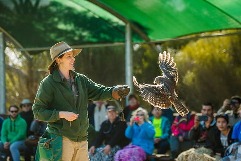 One Day Kangaroo Island Sip & See Tour With Return Ferry Transfers From Adelaide - Accommodation Tasmania 3