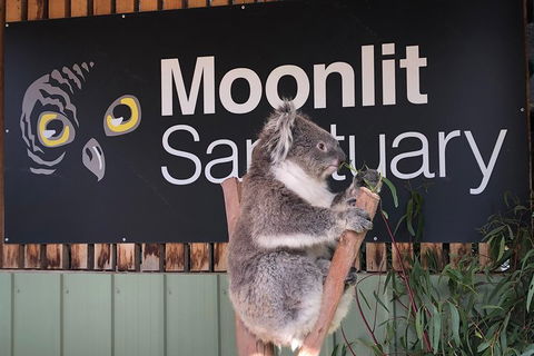 Small-Group Phillip Island Day Trip From Melbourne - Accommodation Tasmania 3