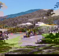 Yarra Valley Wine and Cider Tours by Classic Convertibles from Melbourne - Accommodation Tasmania