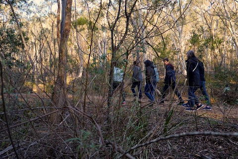 Wild Australian Wildlife 4WD Tour From Sydney - Accommodation Tasmania 0