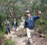 Small-Group Blue Mountains Tour with Bush Walks and Featherdale Wildlife Park - Accommodation Tasmania