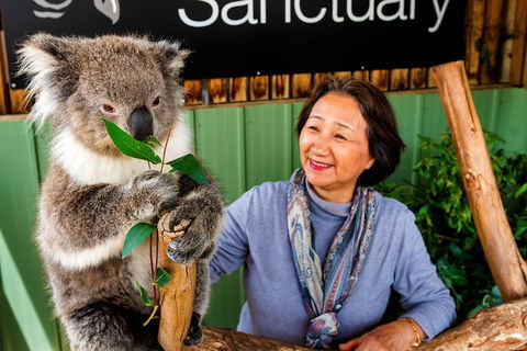 Moonlit Sanctuary Wildlife Conservation Park Daytime General Entry Ticket - Accommodation Tasmania 0