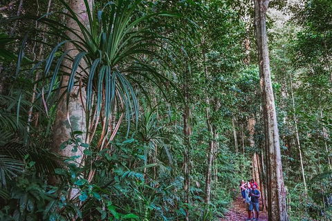 Atherton Tablelands Rain Forest By Night From Cairns - Accommodation Tasmania 0