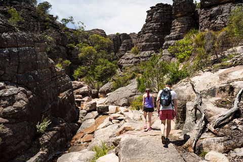 Grampians National Park With Kangaroos And MacKenzie Falls From Melbourne - Accommodation Tasmania 3