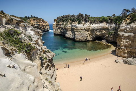 Great Ocean Road Reverse Itinerary With 12 Apostles From Melbourne - Accommodation Tasmania 5