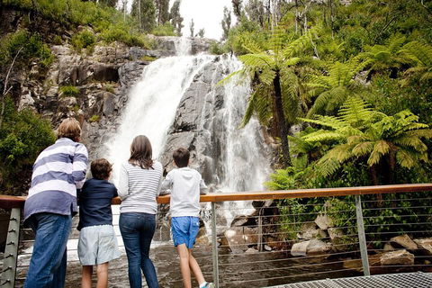Melbourne Snow Trip To Lake Mountain With Chocolates Visit To A Waterfall - Accommodation Tasmania 3