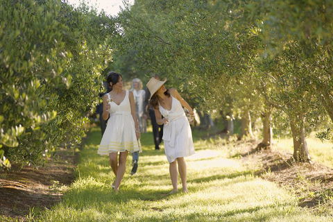 Yarra Valley Wine Tour With Local Harvest Tastings From Melbourne - Accommodation Tasmania 0
