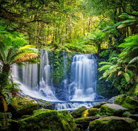 Day Tour in Mt. Field Mt. Wellington Bonorong Wildlife Sanctuary and Richmond - Accommodation Tasmania