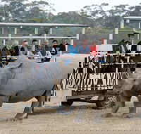 Off-Road Safari at Werribee Open Range Zoo - Accommodation Tasmania