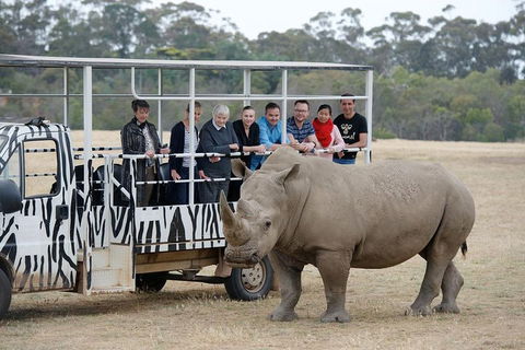 Off-Road Safari At Werribee Open Range Zoo - Accommodation Tasmania 0