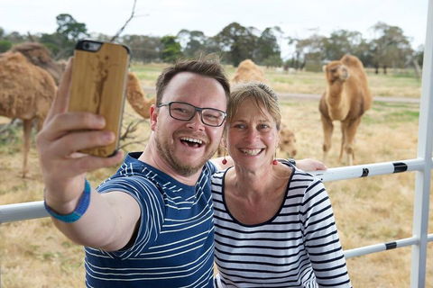 Off-Road Safari At Werribee Open Range Zoo - Accommodation Tasmania 1