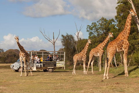 Off-Road Safari At Werribee Open Range Zoo - Accommodation Tasmania 3