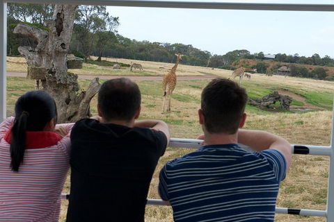 Off-Road Safari At Werribee Open Range Zoo - Accommodation Tasmania 4