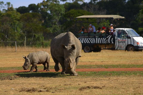 Off-Road Safari At Werribee Open Range Zoo - Accommodation Tasmania 5
