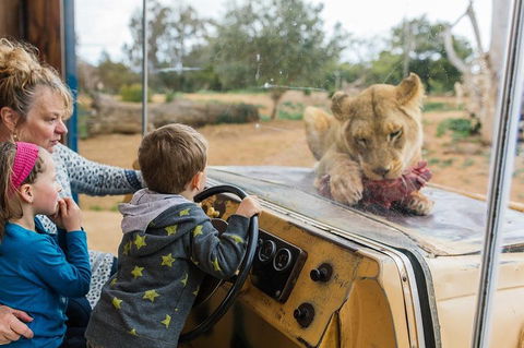 Werribee Open Range Zoo General Admission Ticket - Accommodation Tasmania 4