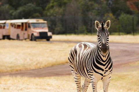 Werribee Open Range Zoo General Admission Ticket - Accommodation Tasmania 5