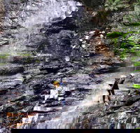 Full-Day Canyoning Experience at Stunning Empress Canyon - Accommodation Tasmania