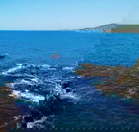 Julian Rocks Byron Bay Cruise - Accommodation Tasmania