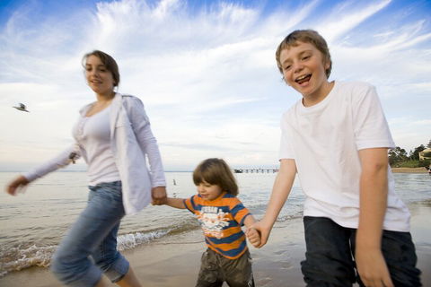 Phillip Island Penguin And Koala Highlights Day-Trip From Melbourne - Accommodation Tasmania 0