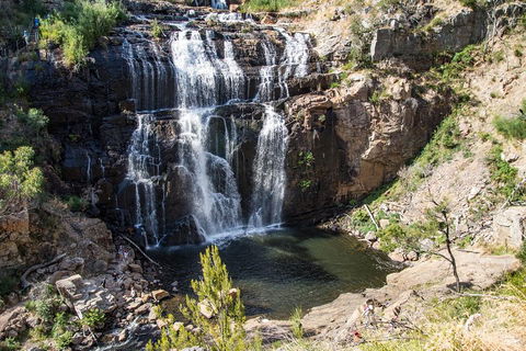 Small-Group Grampians Great Wilderness Escape Day Trip With Hiking - Accommodation Tasmania 0