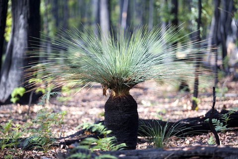 Small-Group Grampians Great Wilderness Escape Day Trip With Hiking - Accommodation Tasmania 2