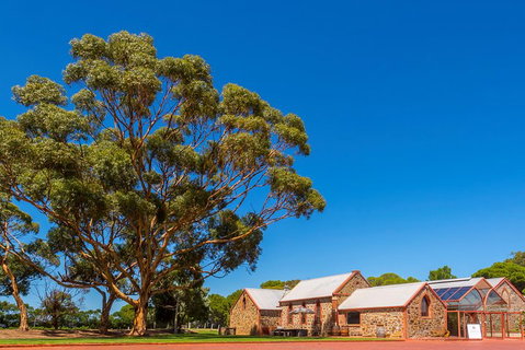 McLaren Vale And Glenelg Wine Tasting And Sightseeing (Half-day Afternoon) - Accommodation Tasmania 5