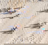 Unlimited Sandboarding - Accommodation Tasmania