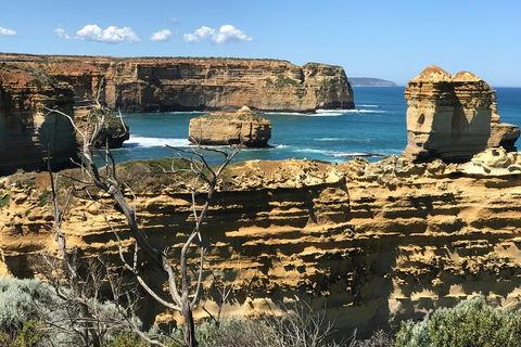 Great Ocean Road Reverse Itinerary Tour - Accommodation Tasmania 1