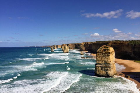 Great Ocean Road Reverse Itinerary Tour - Accommodation Tasmania 4