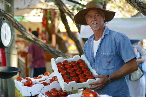 Sunshine Coast Eumundi Markets Return Minibus Transfer - Accommodation Tasmania 5