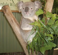 Blue Mountains Private Full-Day Tour from Sydney with Cruise - Accommodation Tasmania