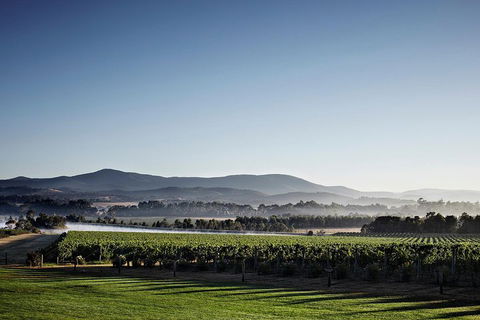 Chauffeur Driven Yarra Valley Group Wine Tour - Up To 7 - Accommodation Tasmania 2